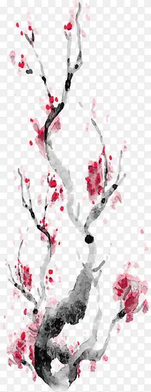 ��֦ �� ֲ��-������