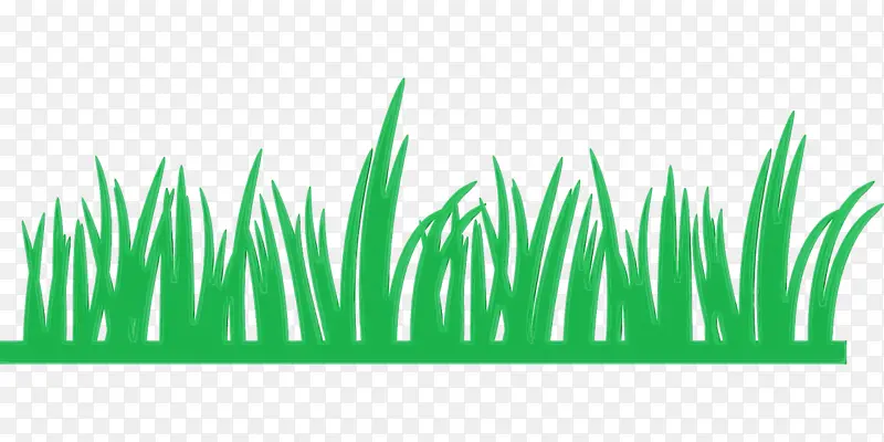 ˮ�ʻ� ���� ʪī-������