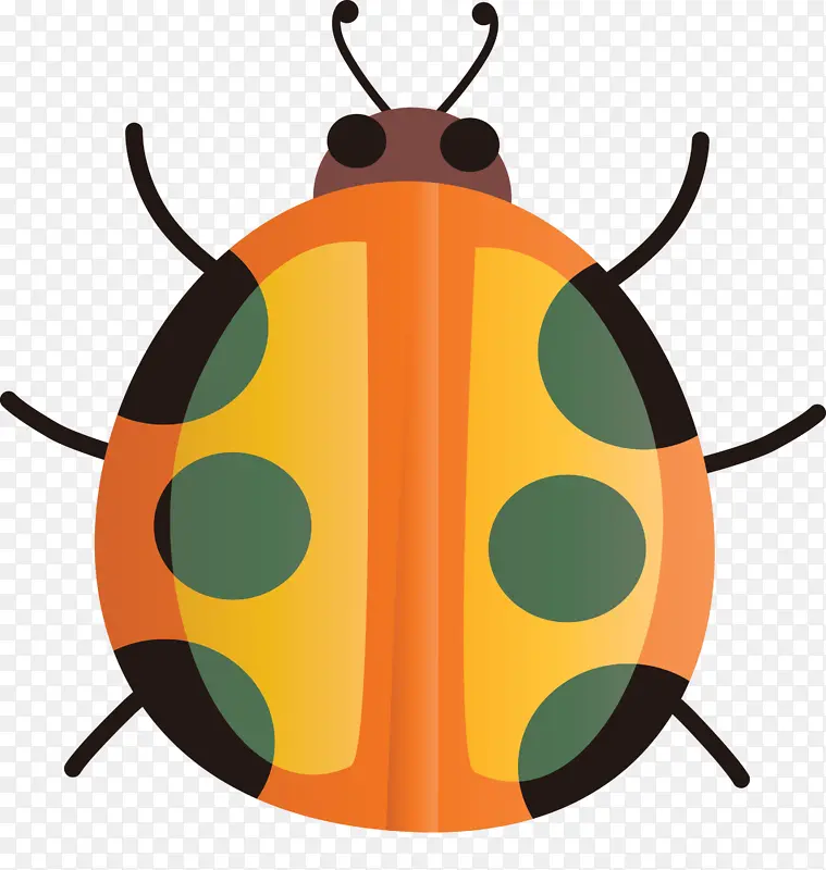 ˮ��ư�� ���� ��ɫ-������