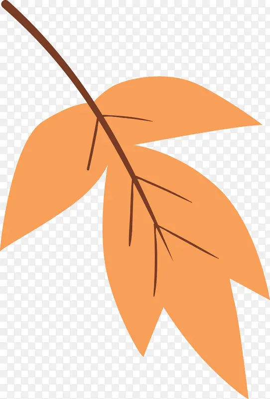 ˮ��Ҷ�� Ҷ�� ��ɫ-������