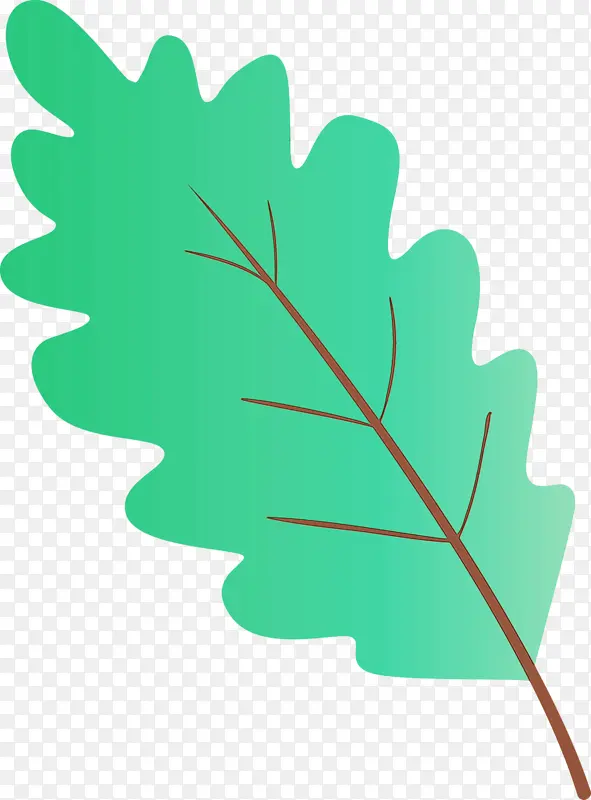 ˮ�ʻ�Ҷ�� ˮ�ʻ� ����-������