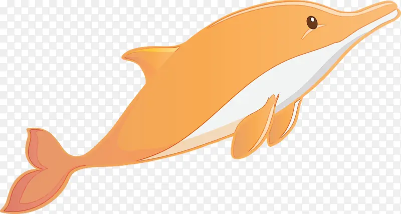 ˮ�ʻ����� ˮ�ʻ� ����-������