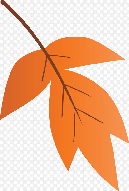 ˮ�ʻ�Ҷ�� Ҷ�� ��ɫ-������