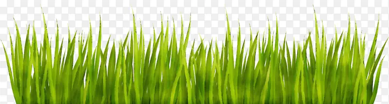 ˮ�ʻ� ���� ʪī-������