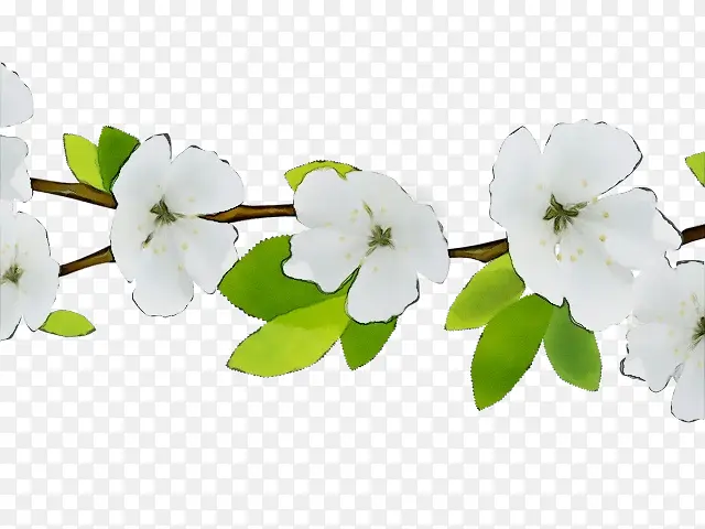 ˮ�ʻ� ���� ʪī-������