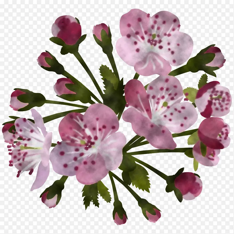 �� ��ɫ ֲ��-������