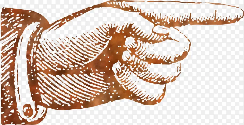 ��ָ�� ���� ����-������