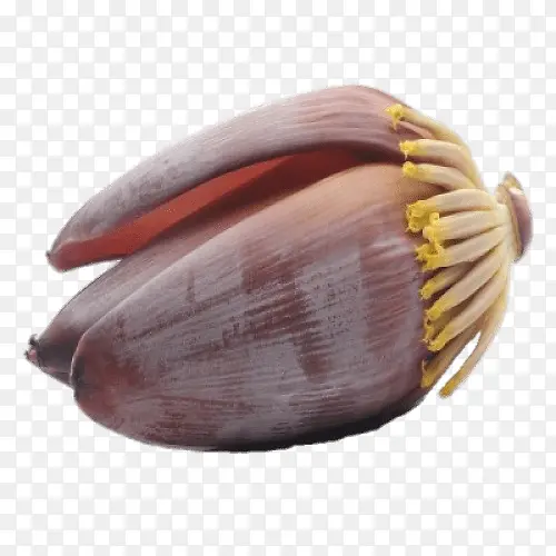 �߲� ֲ�� ��ʳ-������