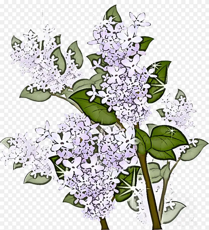 �� ���� ֲ��-������