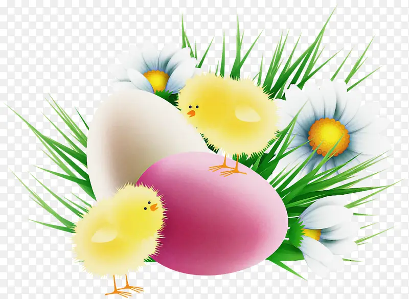 ��ɫ �� ֲ��-������