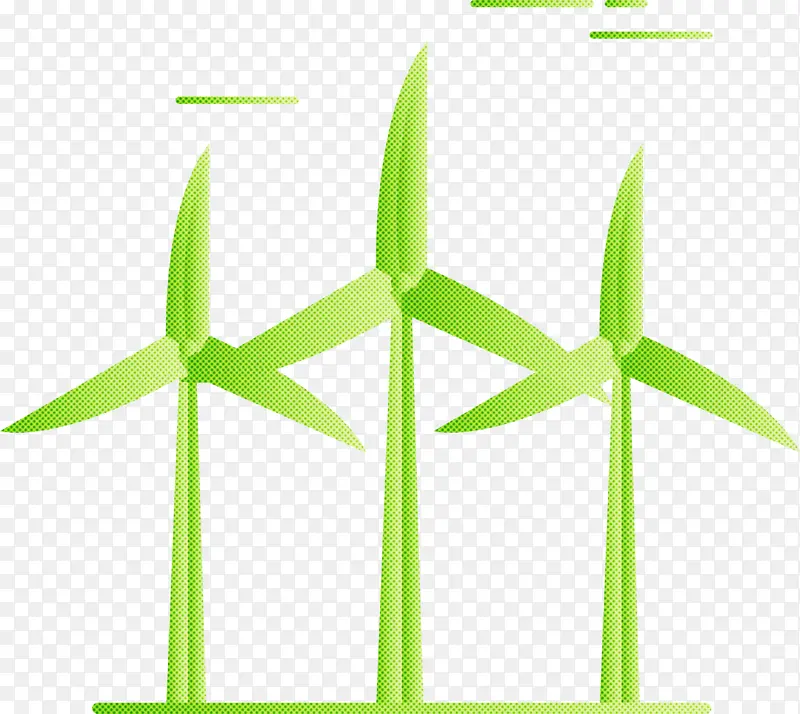 ��̬ѧ ��ɫ �ݿ�-������