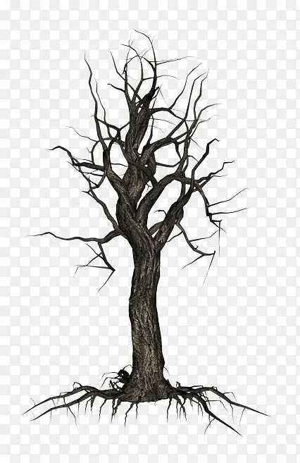 ��ľ ��֦ ľ��ֲ��-������