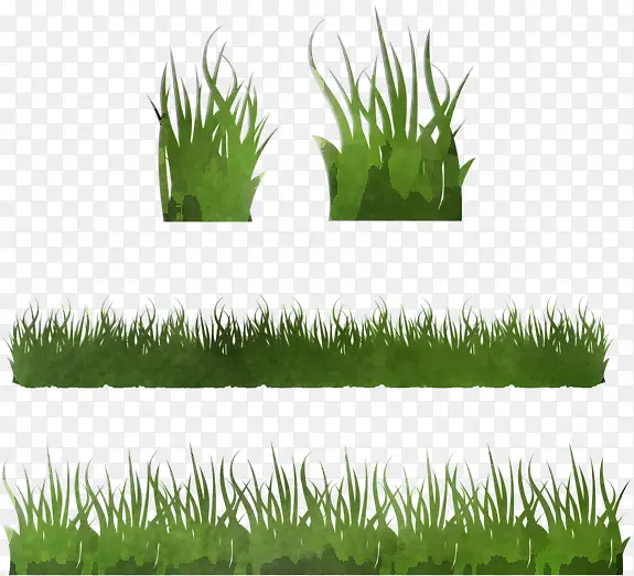 �� ��ƺ ֲ��-������