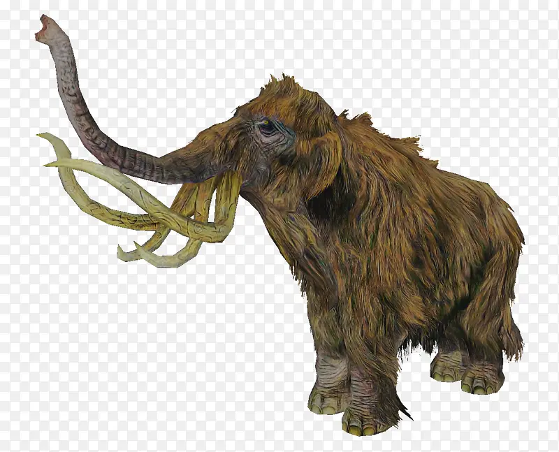 �������� ���� ��-������