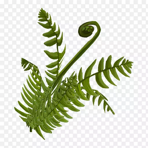 ާ��ֲ�ﾥҶ��βާ-������