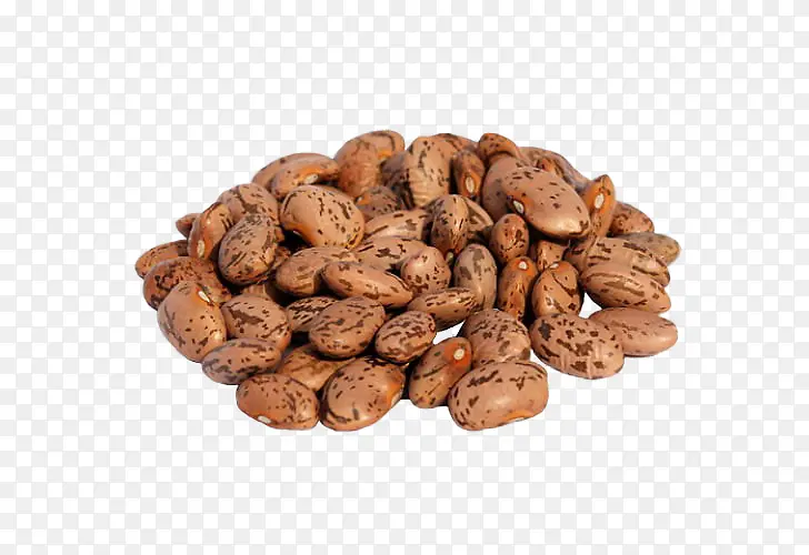 ʳƷ ���� ����-������