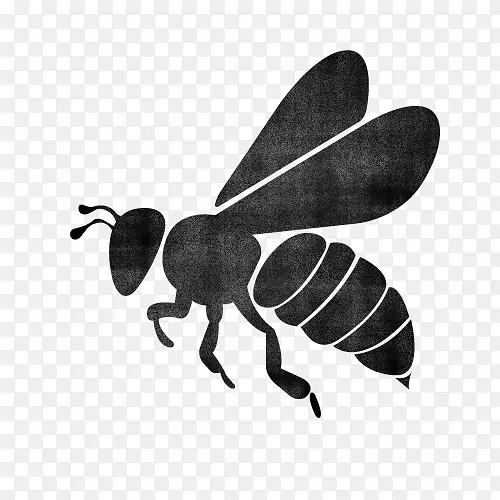 ���� �۷� Ĥ������-������