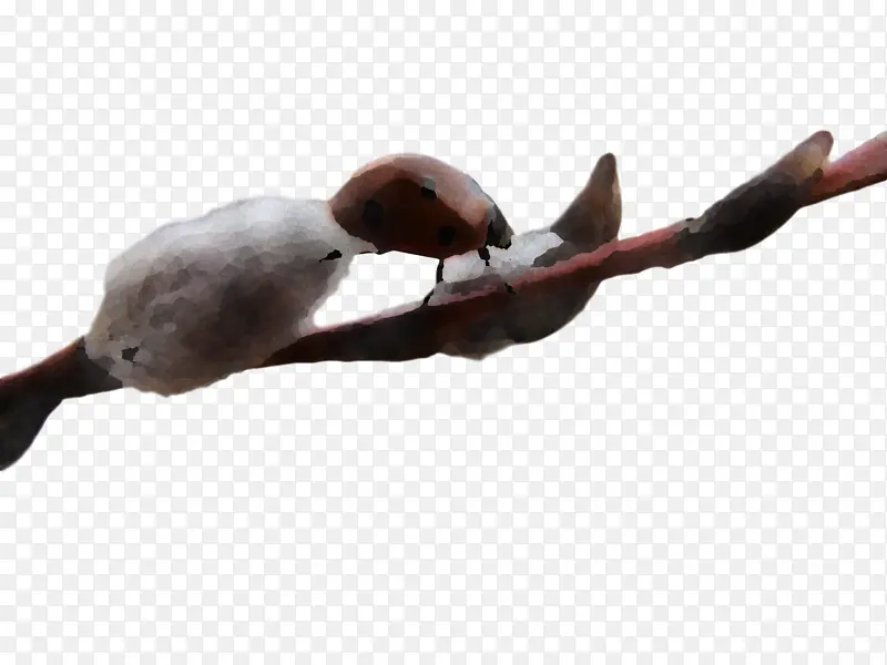 ����-������