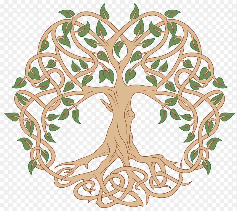 Ҷ�� �� ֲ��-������