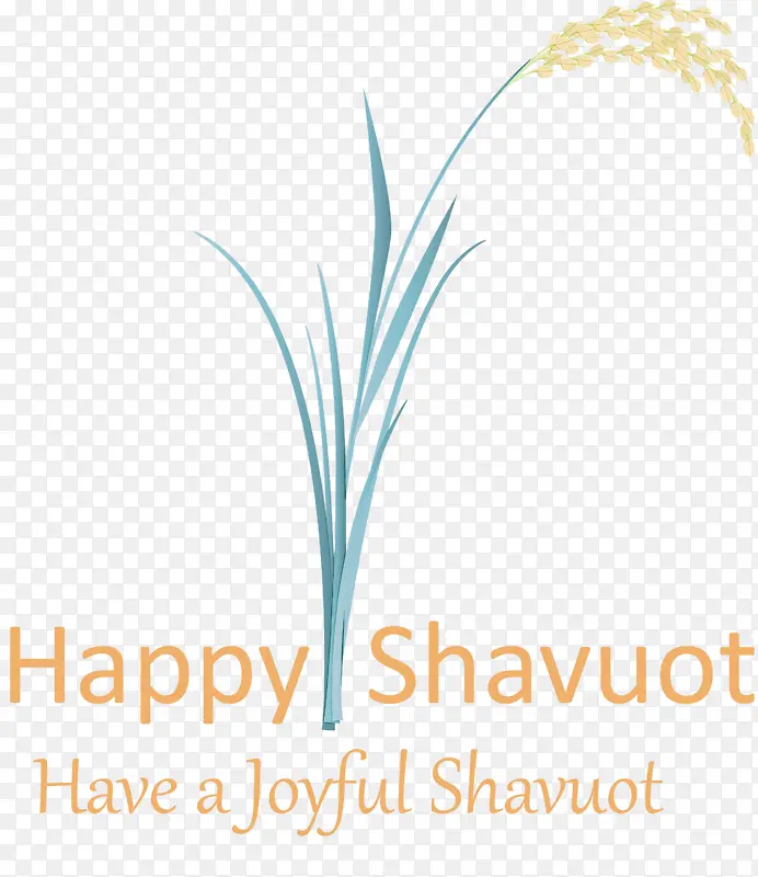 �ı� ���� �ݼ���-������