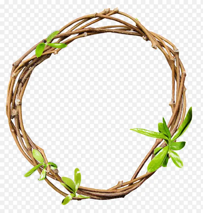 ��֦ Ҷ�� ֲ��-������