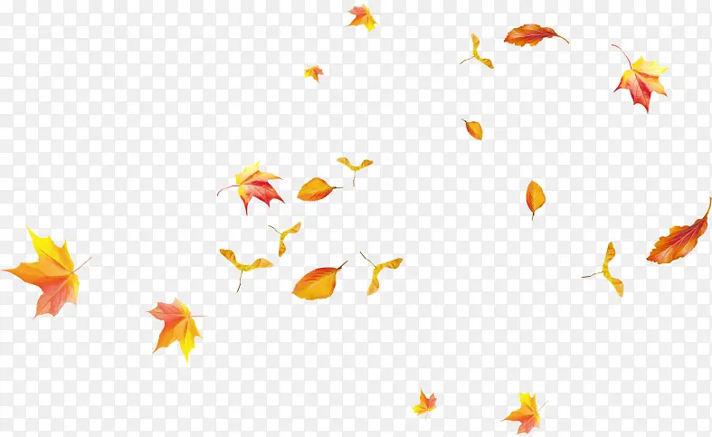 ��ɫ ��ɫ Ҷ��-������