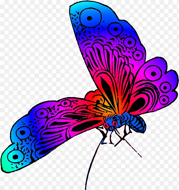 ���� �ɶ�ͺ��� ����-������