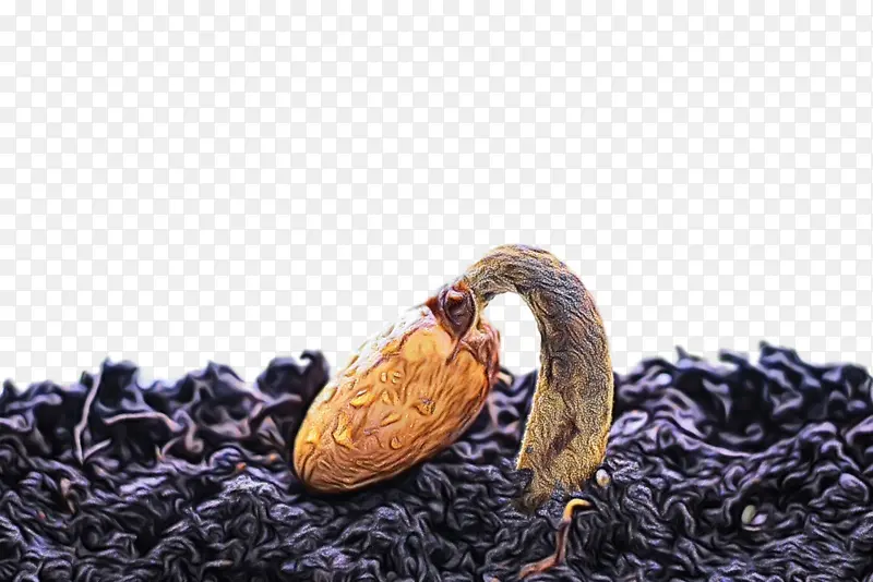 ˮ�� ���� ʪīˮ-������