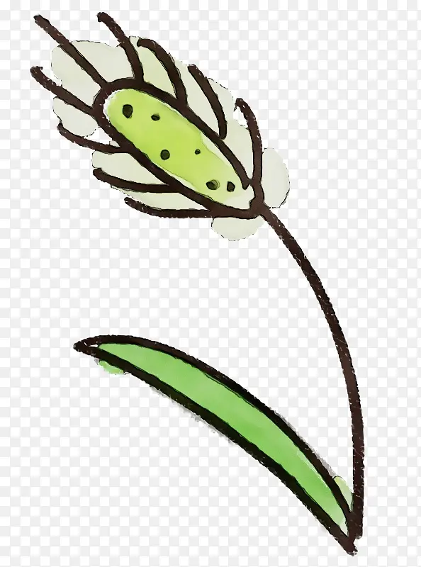 ˮ�ʻ� ˮ�� ����-������