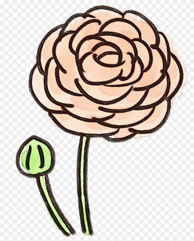 ˮ�ʻ� ˮ�� ����-������