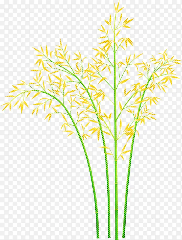 ���� Ҷ�� ֲ��-������