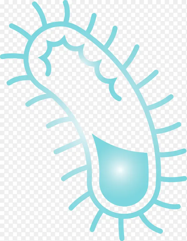 ϸ�� ���� ˮ��-������