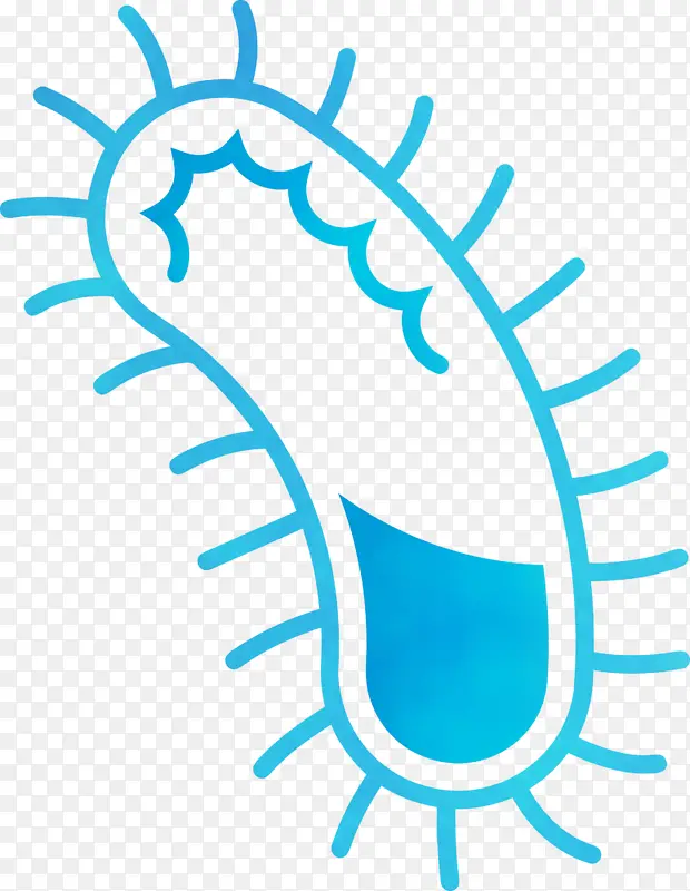 ϸ�� ���� ˮ��-������