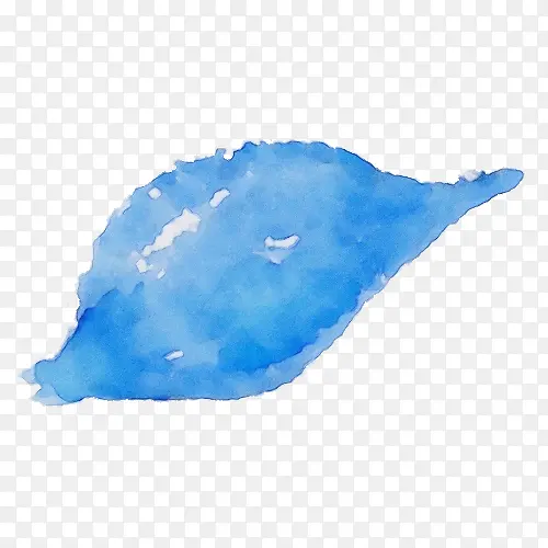 ˮ��Ҷ ˮ�ʻ� ����-������