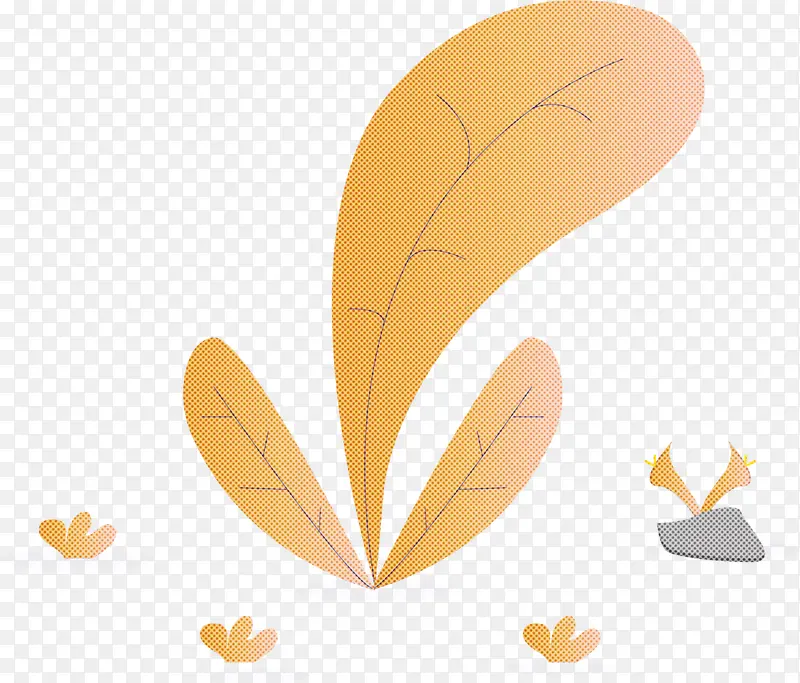 Ҷ�� ֲ�� ��-������