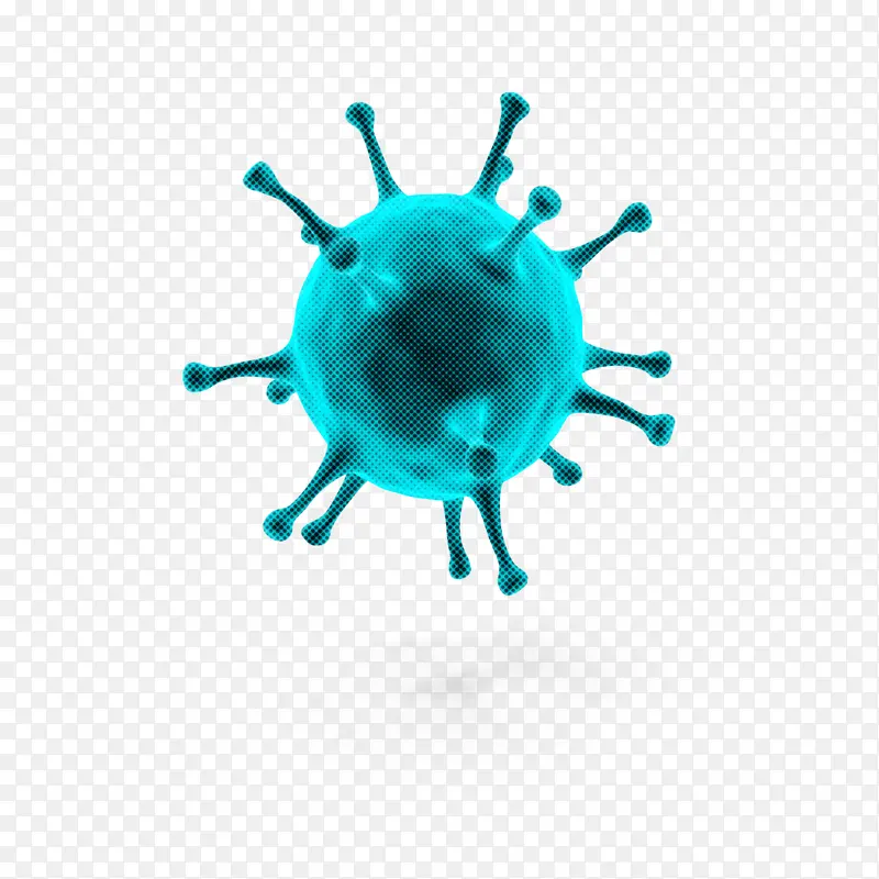 ����ʯ �Ƽ� ����-������