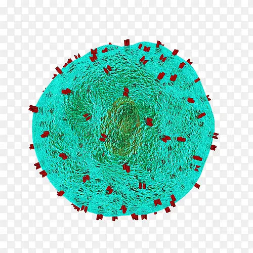 ����ʯɫ ��ɫ ��ɫ-������