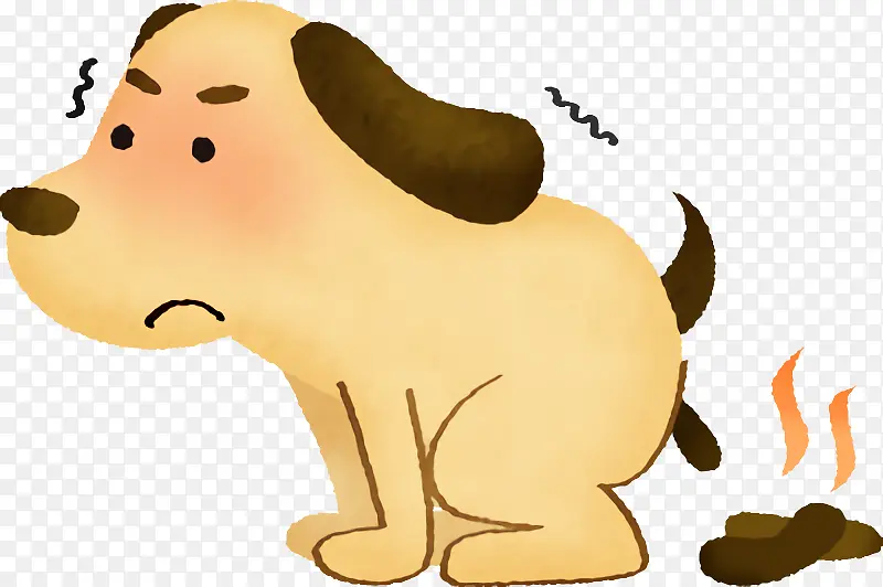 ��ͨ �������� ����-������