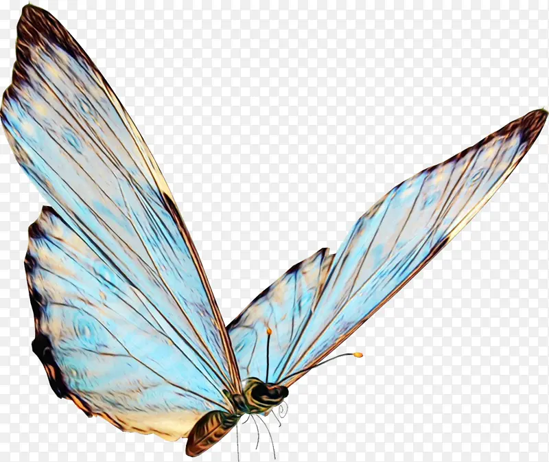 ˮ�ʻ� ���� ʪīˮ-������