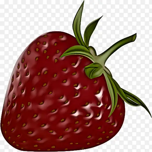 ��ݮ ��ȻʳƷ ˮ��-������