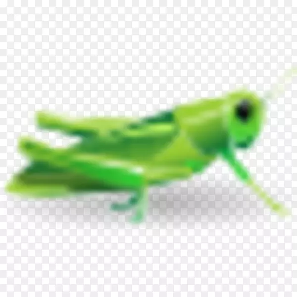 ��������-��Ѽ�����-����-������