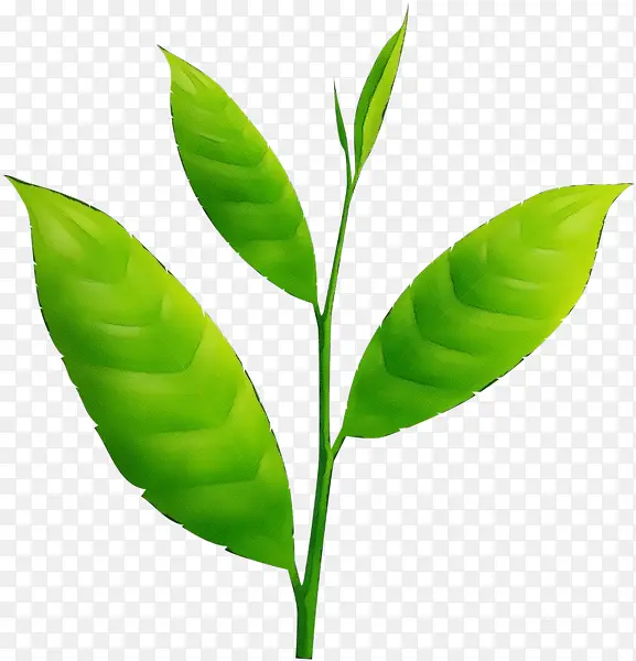 ˮ�ʻ� ���� ʪī-������