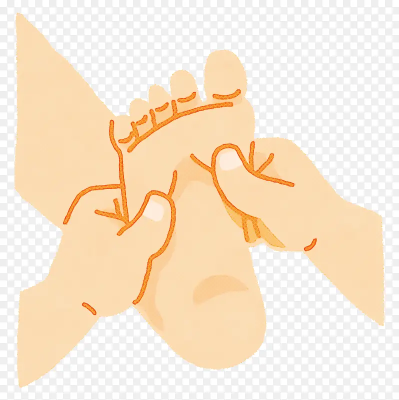 ��ָ �� ����-������