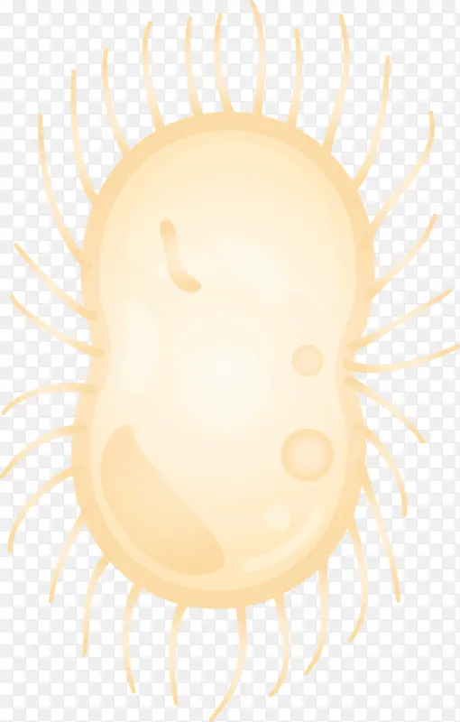 ���� ˮ�� ����-������