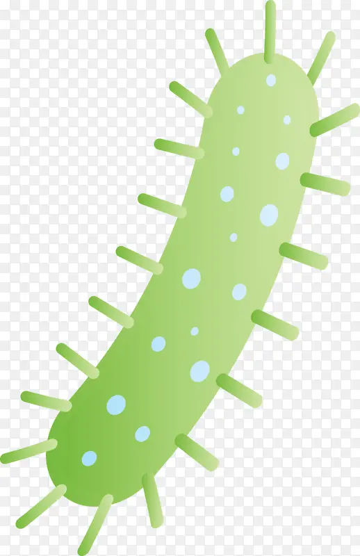 ���� ����-������