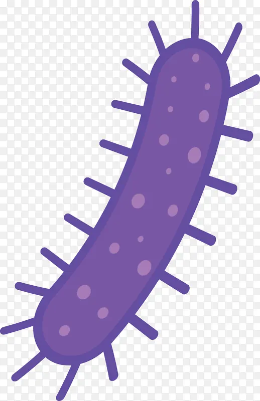 ���� ���� ������-������