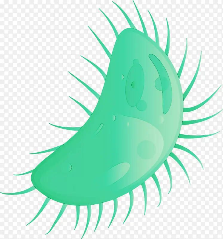 ���� ˮ�� ����-������