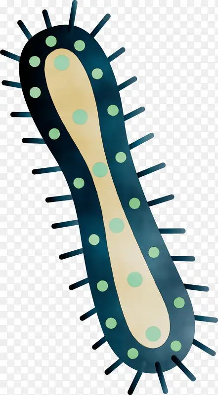 ���� ˮ�� ����-������