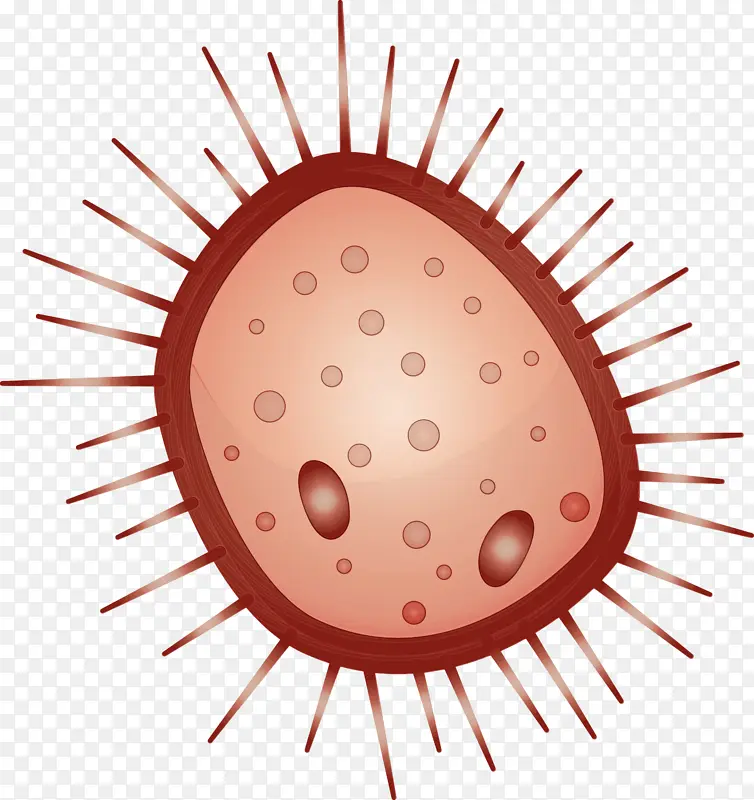 ���� ˮ�� ����-������