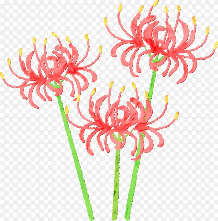 ˮ�ʻ� ���� ʪī-������